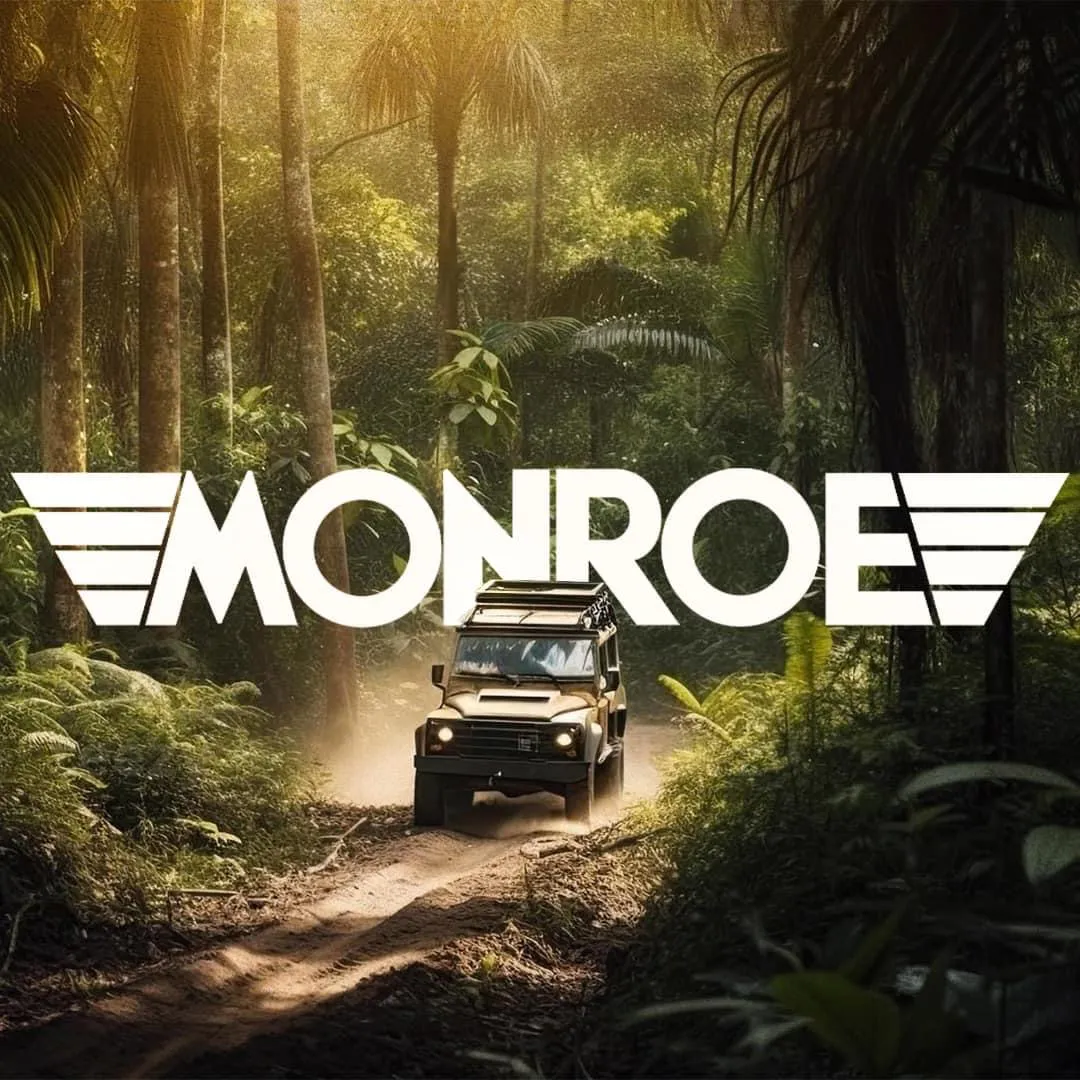 Social Media Designs