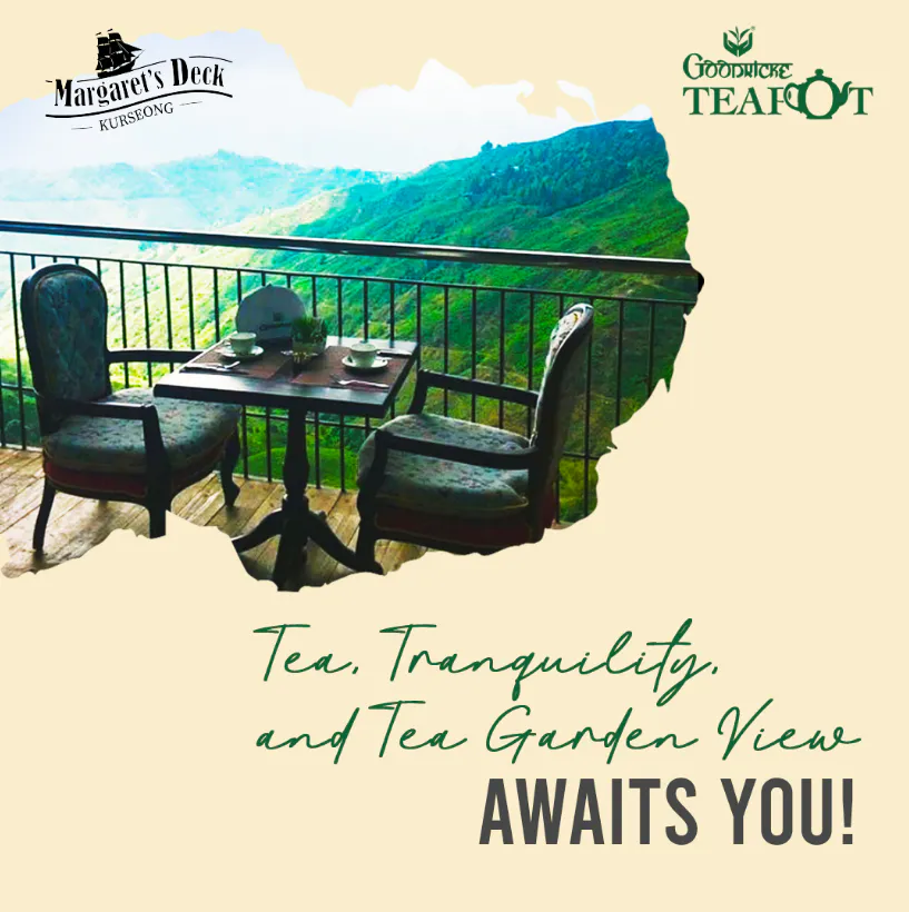 Social Media Designs