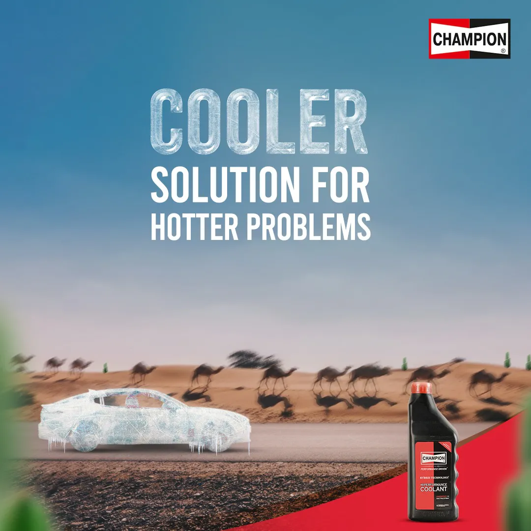 Social Media Designs