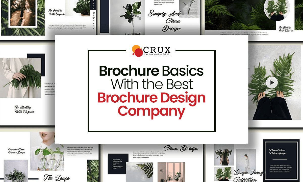 Brochure                                    Basics With the Best Brochure Design Company