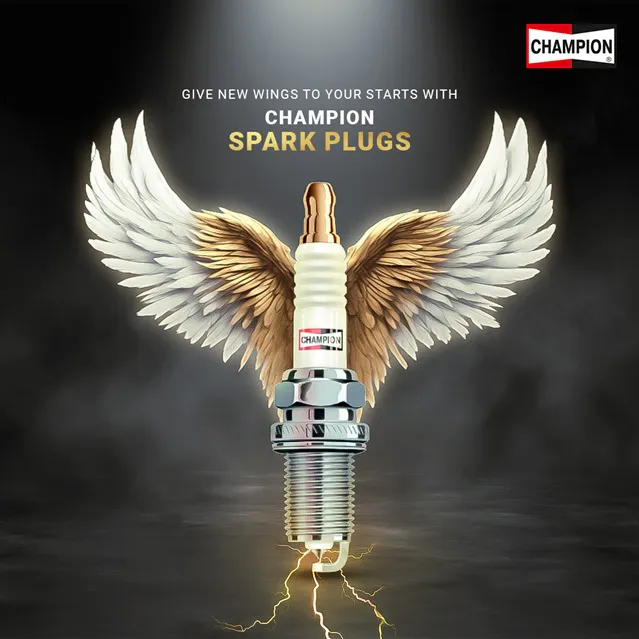 Social Media Designs